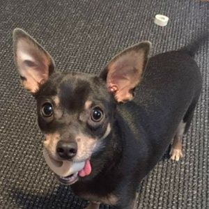 Meet your Posher, Jeff